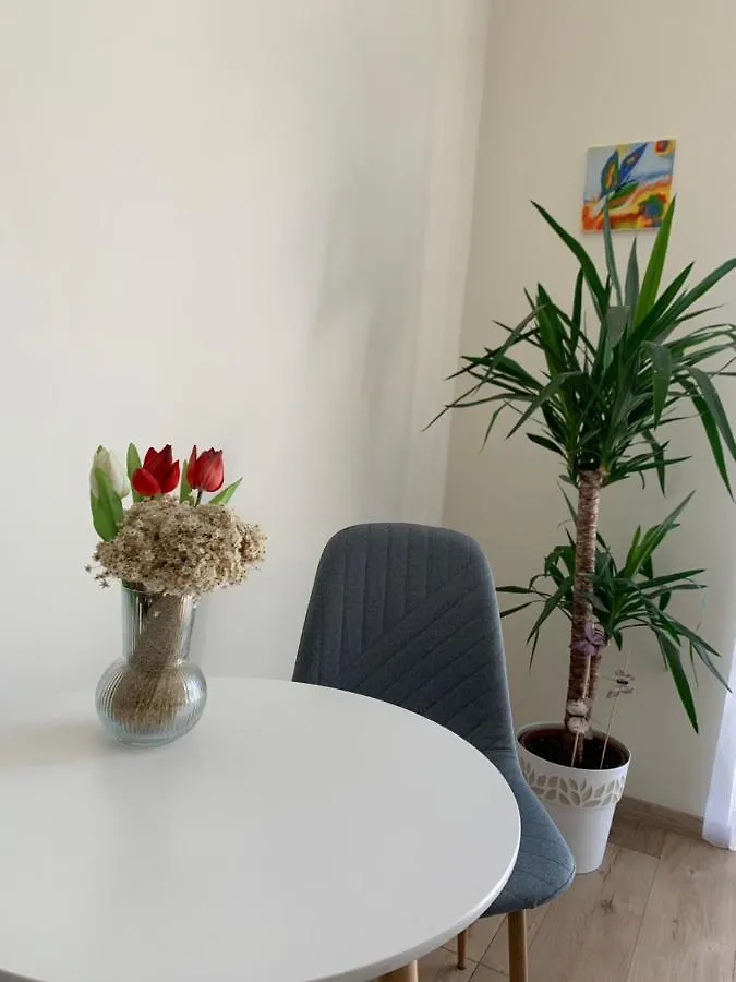 Vilagos, Kellemes Lakas, Jo Koezlekedessel Budapest